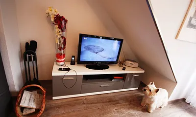 Fernseher mit Zuschauer