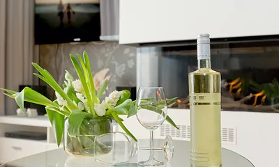 Villa Gruner - Appartement 04