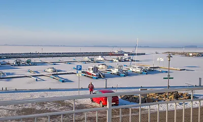 Wieker Hafen im Winter