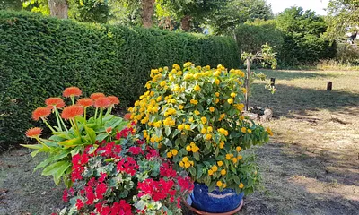Garten Impression - 1300m² großes parkähnliches Grundstück