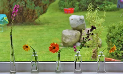 Die Blümchen finden Sie in bunten Mengen im Garten... :o)