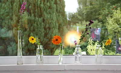 Wohnzimmer mit Nachmittagssonne und gemütlicher Sitzgruppe