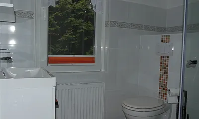 Badezimmer mit Dusche und WC.