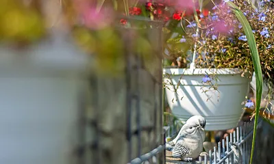 Detailaufnahme vom Grundstück.