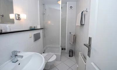  das Badezimmer (Duschbad)