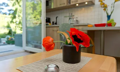 Wohn-, Ess- und Kochbereich mit Terrasse