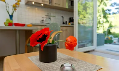 Wohn-, Ess- und Kochbereich mit Terrasse