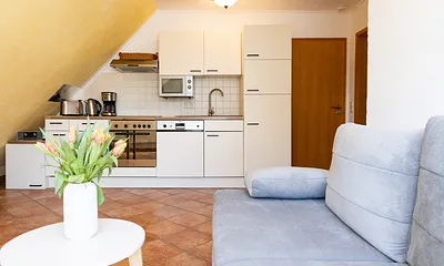 Wohnzimmer mit integrierter Küche