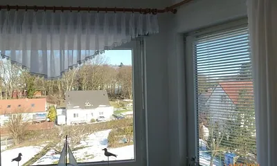 Hinter den Bäumen des Kirchbergs sehen Sie die Ostsee.