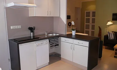 Kleine, voll ausgestattete Küche mit 2-Platten-Induktionskochfeld, Dunstabzug, Kühlschrank/Eisfach, Geschirrspüler, Mikrowelle/Heißluft/Grill-Kombigerät, Kaffeemaschine, Wasserkocher, Toaster u.v.m.