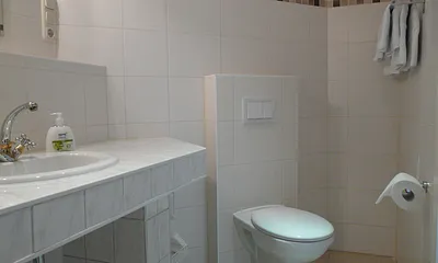 Waschtisch und WC, ausreichend Ablageflächen und Handtuchhalter sind vorhanden