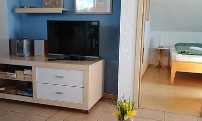 Wohnbereich mit Blick ins Schlafzimmer