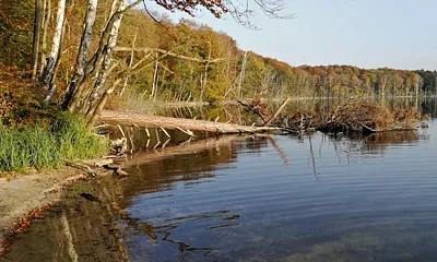 3 km bis zum Wolgastsee.