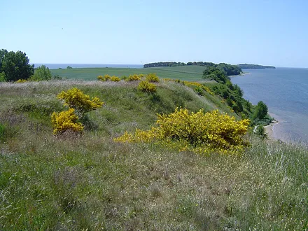 Der "Fliegerberg" mit Blick auf die Having und Reddevitzer Höft direkt an der Bungalowsiedlung gelegen.