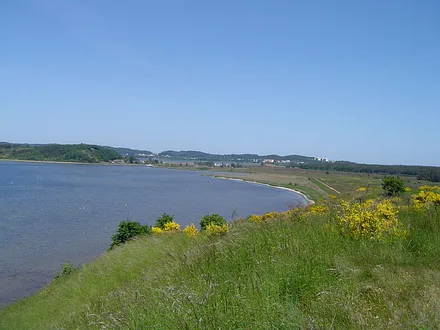 Der "Fliegerberg" mit Blick auf das Hinterland von Baabe und der Wander- bzw. Fahrradstrecke zum Strand von Baabe.