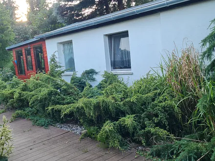 Der Bungalow im Grünen.