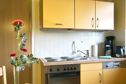 Küchenzeile mit Eherd/Backofen 