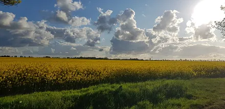 auch im Mai ist es hier schön 