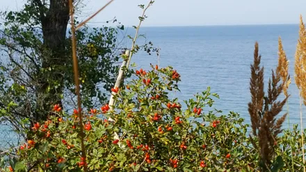 Wanderung am Salzhaff
