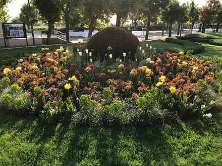Blütenpracht an der Promenade 