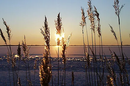 Winter am Achterwasser