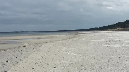 Ostseestrand im Frühjahr