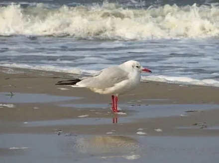 Wir wünschen Ihnen einen  erholsamen Urlaub! :)