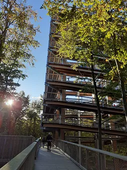 Baumwipfelpfad Heringsdorf