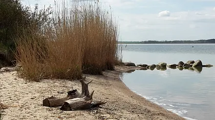 Insel Usedom - Halbinsel Gnitz / Achterwasser