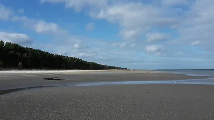 Ostseestrand im Frühjahr
