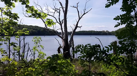 Wolgastsee - Insel Usedom