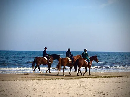 Auf Schusters Rappen 