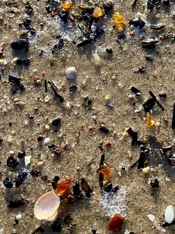 Mit etwas Glück findet man Bernstein