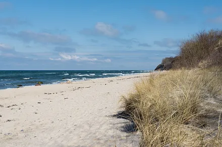 Der Ostseestrand