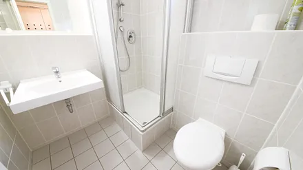 Das moderne Bad mit Duschkabine