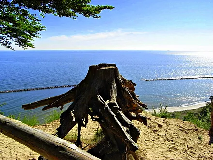 Blick vom Streckelsberg aus 60 Metern Höhe