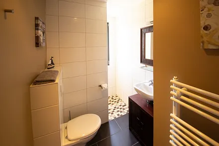 Bad mit begehbarer Dusche und WC/Waschtisch