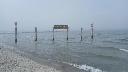 Seenebel