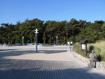 Küstenwald am Zempiner Strand