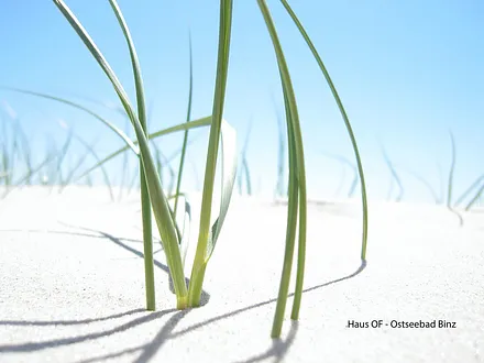 feinster Sandstrand in Binz