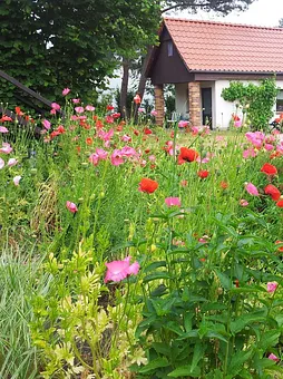 Blick durch den Garten