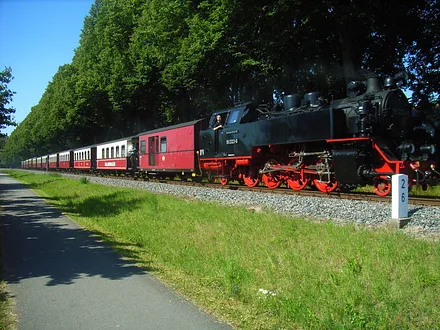 Dampfeisenbahn Molli und Radweg an der Lindenallee