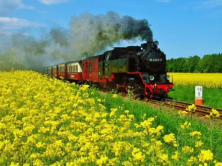 Mollibahn im Frühling