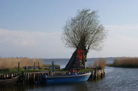 Achterwasser Fischerhafen Zempin 