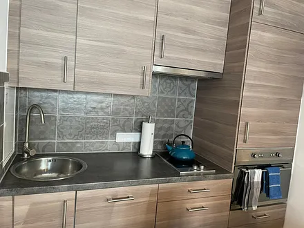 Voll ausgestattete Küche mit Geschirrspüler, Backofen (mit integrierter Mikrowelle), Toaster, Kaffeemaschine, Zwei-Platten-Herd und Kühlschrank mit Gefrierfach