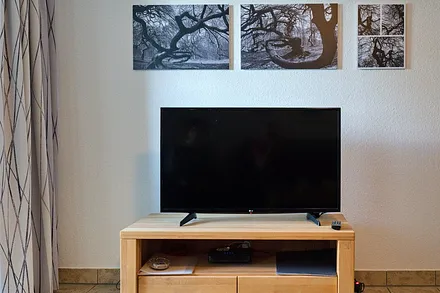 Wohnraum mit ausziehbarem Schlafsofa (s.o.) Richtung TV