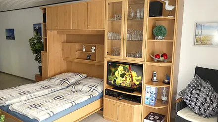 Schrankwand im Wohnbereich mit Schrankbett zur Schlafgelegenheit für die 3. und 4. Person, TV, DVD-Player, Soundbar, Audio-Anlage, Infomappe, Gebrauchsanleitungen, Spiele, Bücher, uvm.