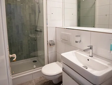 Das Bad mit Dusche, WC und Fön.