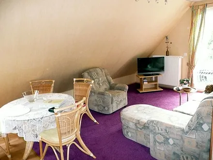 Wohnraum mit Sicht auf Fernseher und Balkon