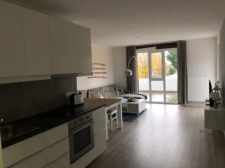 Küche und Wohnzimmer Wohnung 4